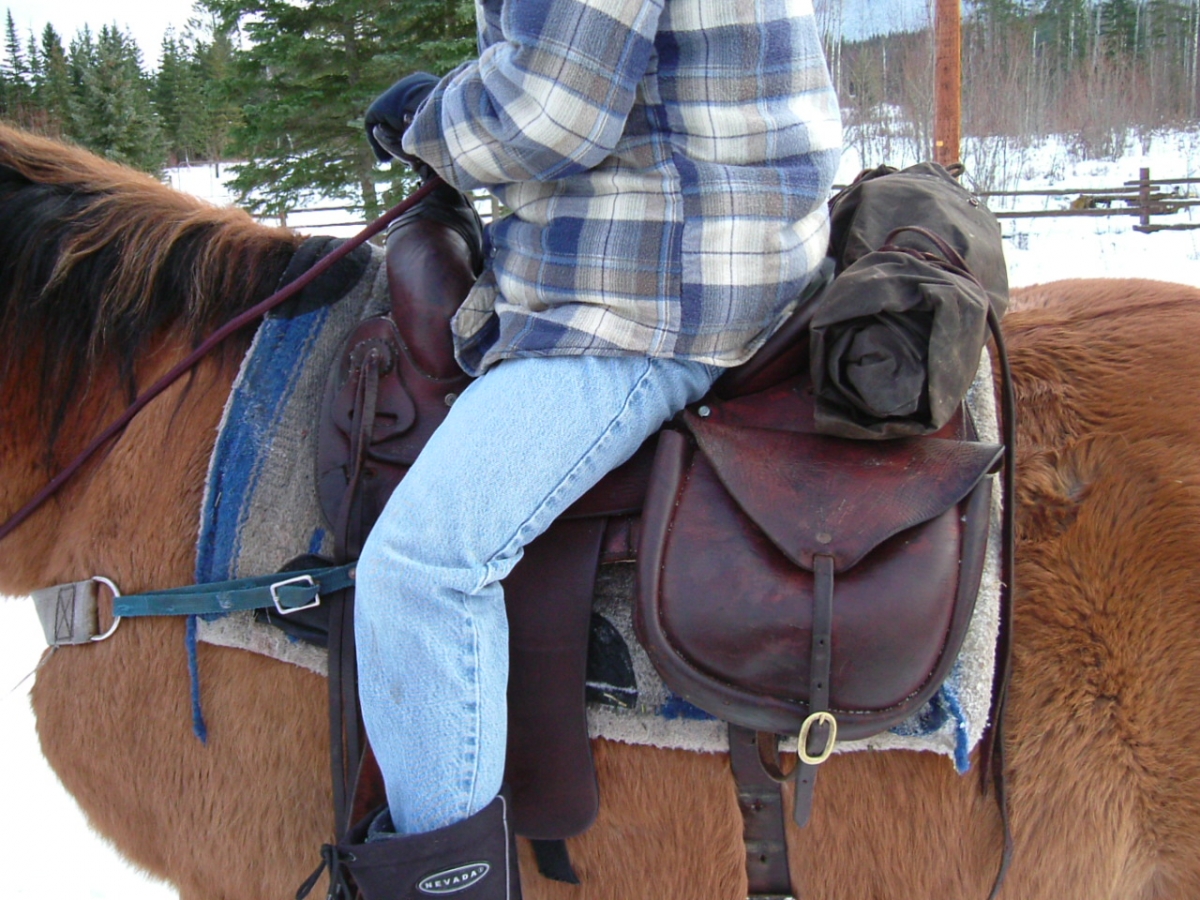 best saddle trail ride, choosing saddle riding horses, horseback riding saddle, stan walchuk