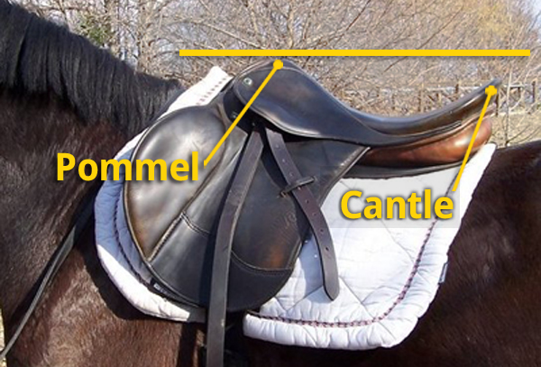 half pad, saddle fitting,  jochen schleese, schleese saddle fitting, equine ergonomist, saddlefit for life, schleese, saddle balance, schleese saddle, pommel to cantle