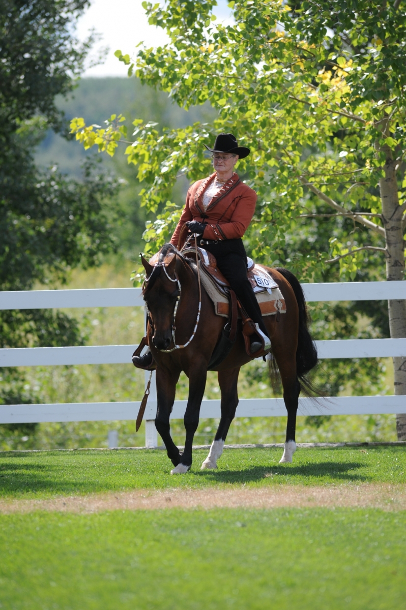meeting horse riding goals, achieving horse riding goals, horse riding maintenance plan, horse rider psychology