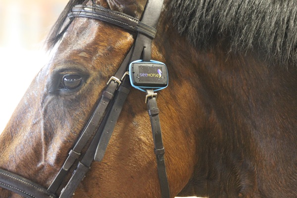 SeeHorse, Wearable horse Device, AgInnovation Ontario, Ontario Equestrian Federation