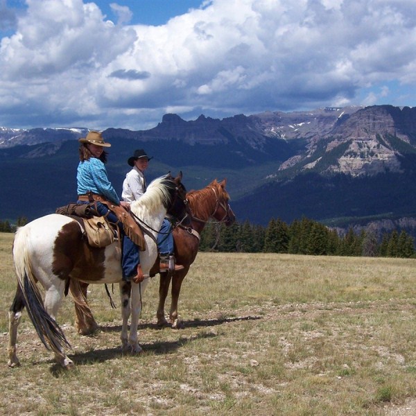 Ranch Trekking Horse Holiday