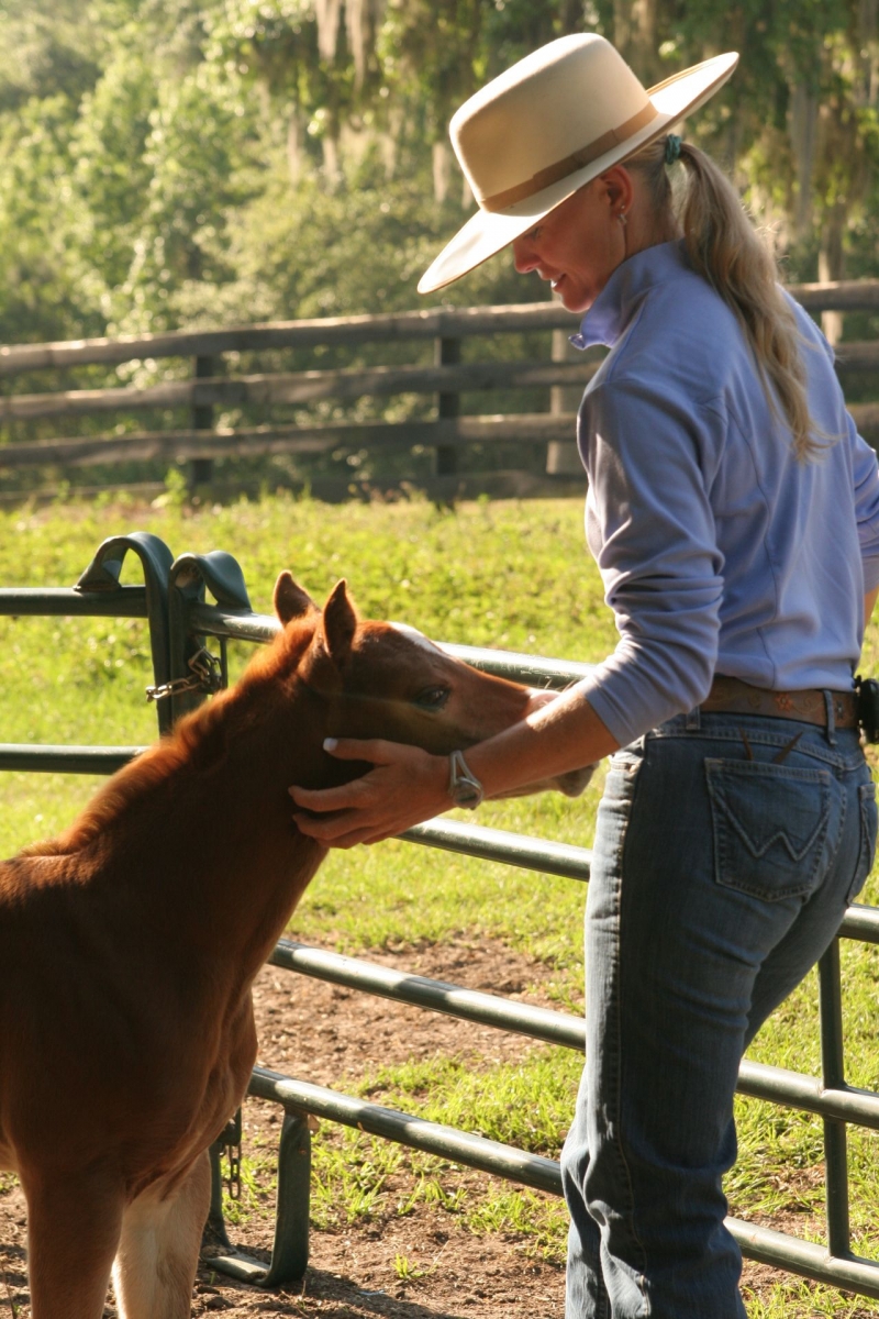 vital training lessons for young horses with Kalley Krickeberg