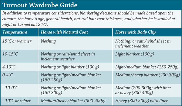 horse turnout wardrobe guide
