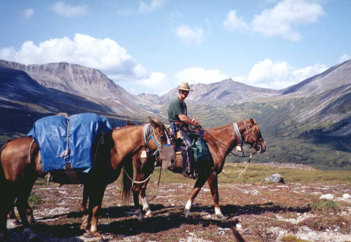 Hitching a Pack Horse, trail riding tips, types of horse htitches, single diamond horse hitch