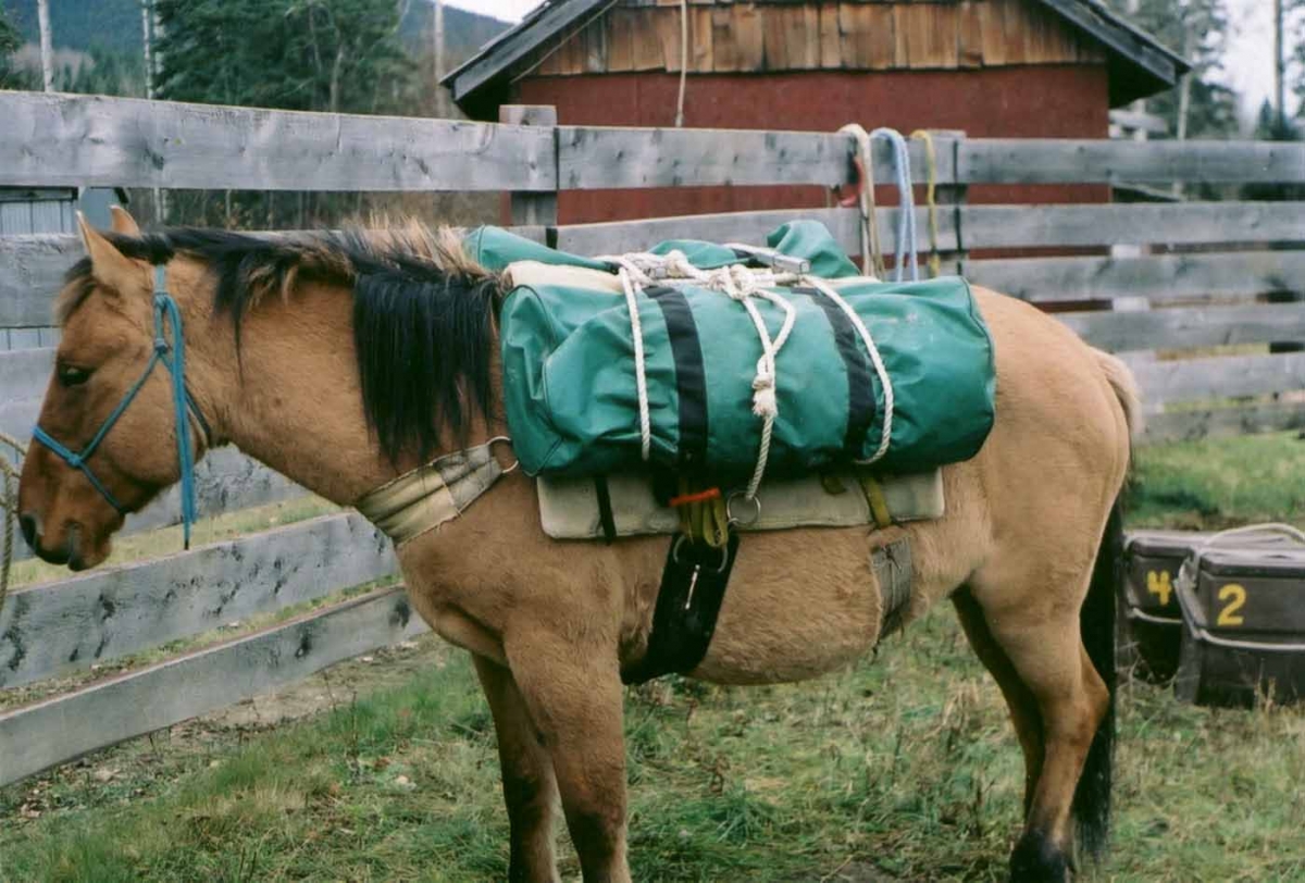 Hitching a Pack Horse, trail riding tips, types of horse htitches, single diamond horse hitch
