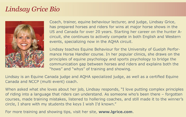 Lindsay Grice Bio