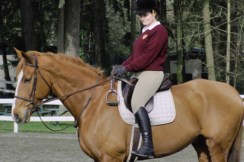 Riding without stirrups, rider position, horse riding, two point trot, two point walk, posting trot, equine sitting trot, 