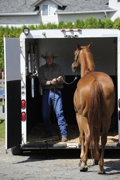 training jonathan field, natural horsemanship, trailer loading, load a horse trailer