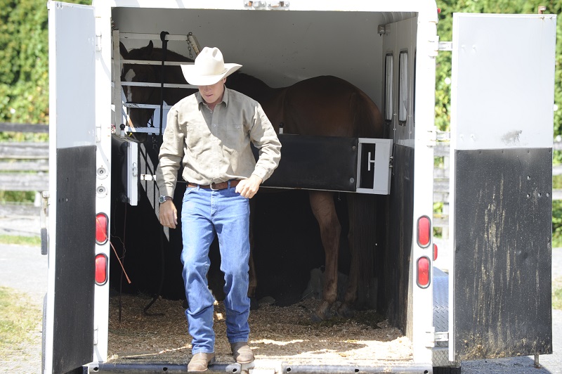  training jonathan field, natural horsemanship, trailer loading, load a horse trailer