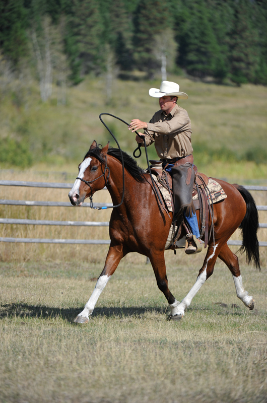 jonathan field, one rein riding for horses, bridleless, halter riding for horses, natural horsemanship, horse obstacle, bridleless canter for horses, bridleless trot for horses, bridleless walk for horses