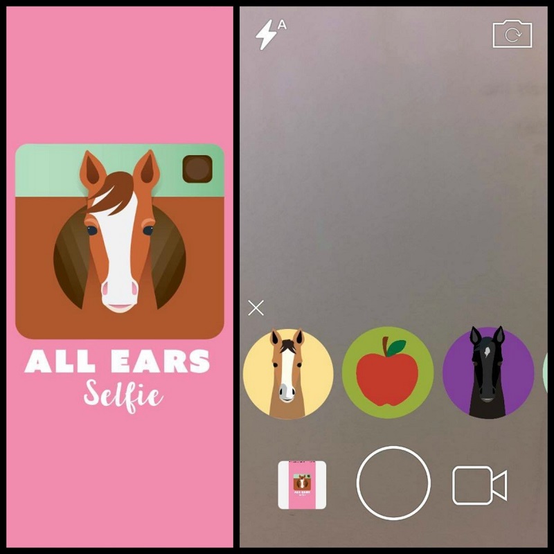 How to Take a Great  horse Conformation Photo, equine confirmation, selling a horse, how to sell a horse, all ears selfie app