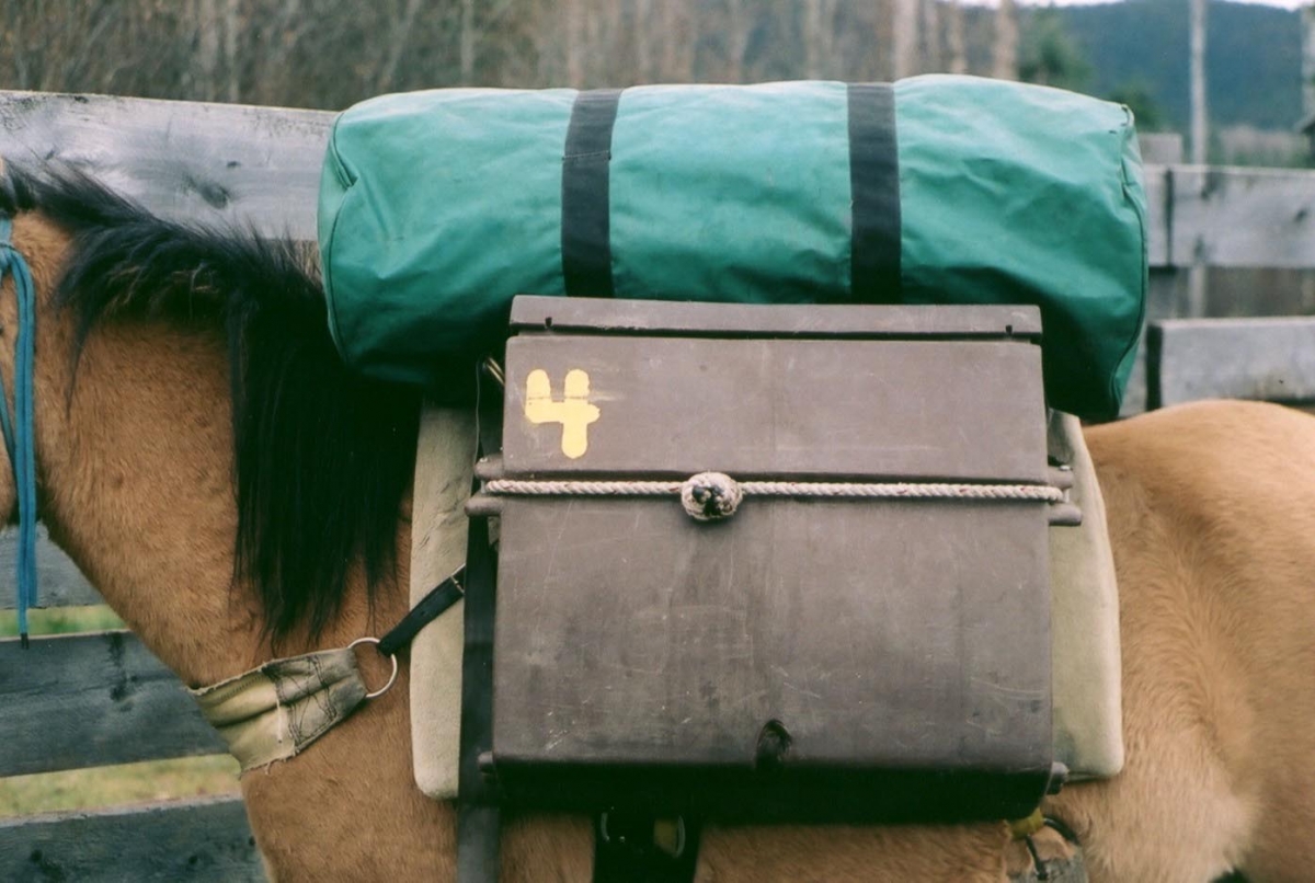 Stan Walchuk Jr, horse camping, equine camping, equine camping safety tips, packing for horse trail ride