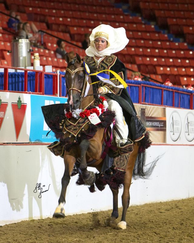  Canadian National Arabian & Half-Arabian Championship, Arabian Horse Association canadian show (AHA), canada arabian national show, equine horse show manitoba