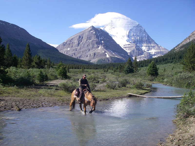 rocky mountain trail rides, mountain trail rides, holiday with horses, holiday horse ride, blue creek outfitting, trail riding, tania millen, Crown Creek, holidays on horseback 