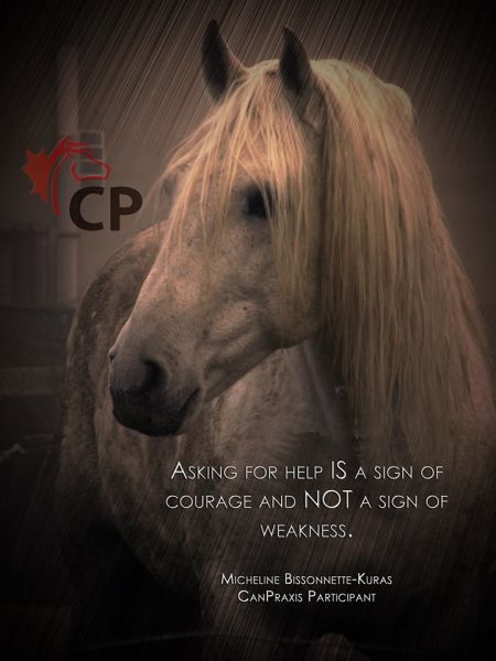 Horses Helping Veterans | Horse Journals