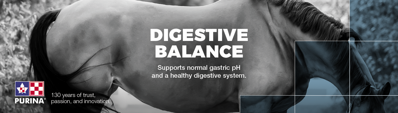 Digestive Balance from Purina Canada Equine 