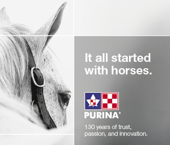 Purina Canada Equine - It all started with horses.