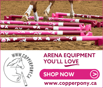 Arena equipment you&#039;ll love from Copper Pony!