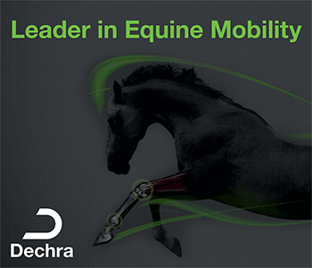 Dechra - Leader in Equine Mobility