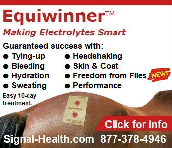Equiwinner - Making Electrolytes Smart