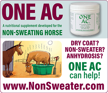 One AC from Magic Powder Company - for the non-sweating horse