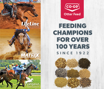 Otter Co-op Feed - Feeding Champions for Over 100 Years