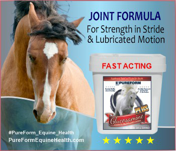 PureForm Joint Formula from SciencePure