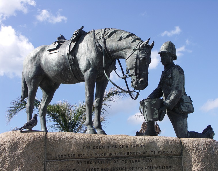 remembering horses in world wars, equine war veterans