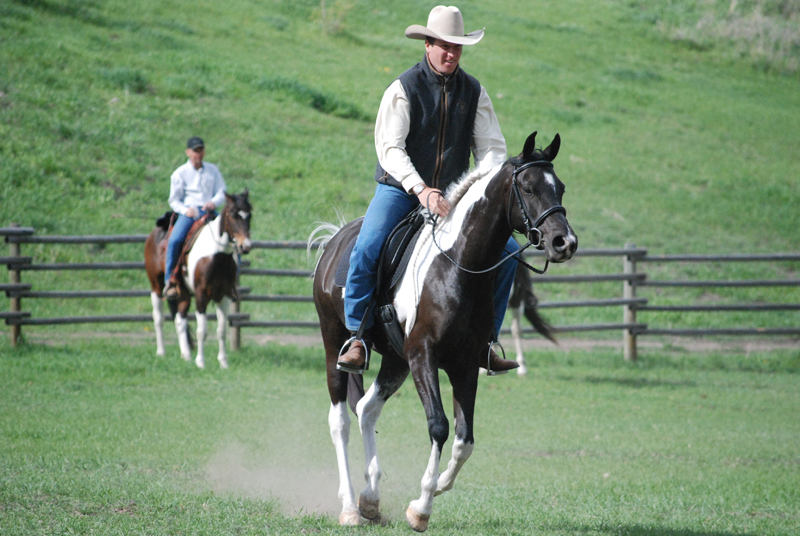 Jonathan Field, comfortable canter, training horse canter, canter length, natural horsemanship