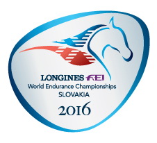 Longines FEI World Endurance Championships Jaume Punti Dachs Alex Luque Moral Angel Soy Coll Punti Dachs