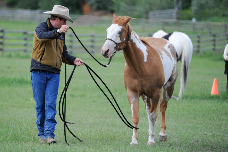 Jonathan Field, natural horsemanship, Leg Shy Horse, claustrophobic horse, connect with shy horse, rope leading horse, get horse to direct steer, horse leading by his feet, horses working cows