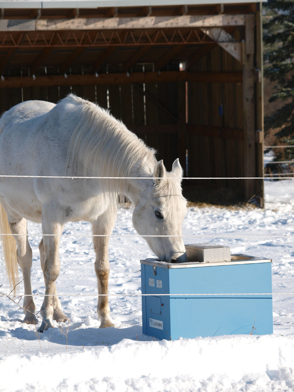 De-icing water buckets for horses,  assess your horse barn’s structural integrity, dust control in horse barn, mud management for horses, ventilation for horse paddocks and barns, heated horse tack room