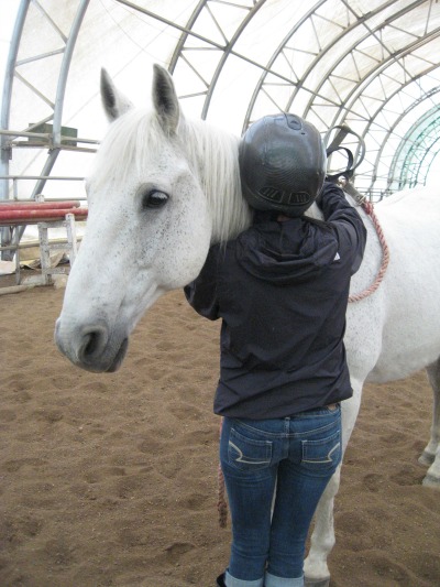 horse therapy university of regina therapeutic horsemanship riding care horses children youth horse therapy