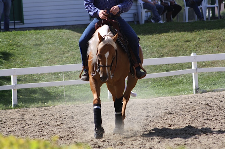 reining horse training with Matthew Hudson