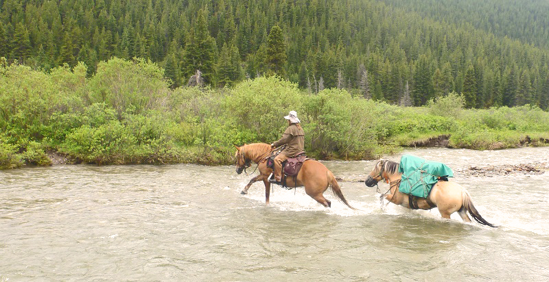 Tania Millen, Blue Creek Outfitting, McBride, BC, pack trips, holidays on horseback, equine holiday, trail riding, pack horse