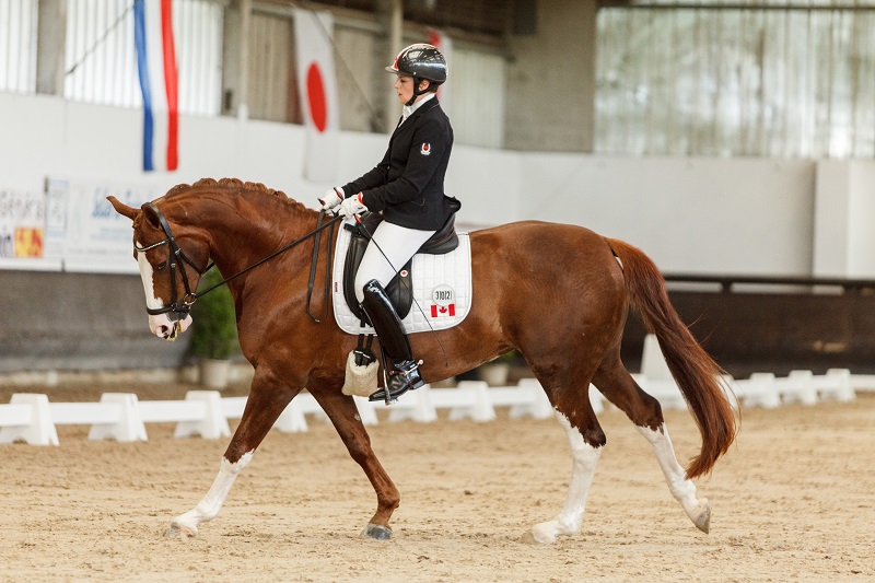Equestrian Canada Para-Dressage Team Rio 2016 Paralympic Games Canadian Paralympic Committee Lauren Barwick Robyn Andrews Ashley Gowanlock Roberta Sheffield