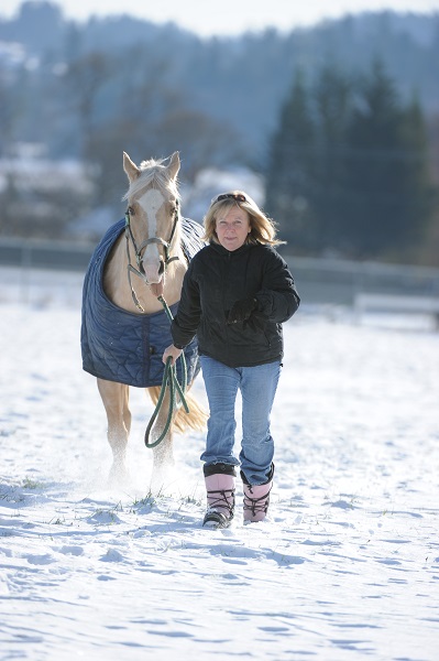 winter horse, riding in winter, training in winter, conditioning horse, keep horse fit winter, horse stretches, carrot stretch