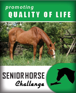 equine guelph, Senior Horse Challenge, Equine Metabolic Syndrome, EMS, Pituitary Pars Intermedia Dysfunction, PPID, Cushing’s Disease, Laminitis