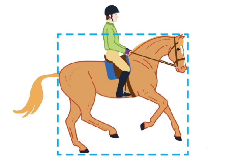 shaping your horse's canterShaping Your Horse's Canter, how to develop a nice canter, how to canter a horse, lindsay grice, horse crosses leg behind, horse won't canter