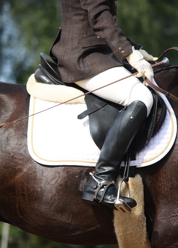 saddle fitting, short person saddle, short legs saddle, schleese, saddlefit4life
