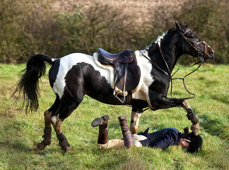 horse riding concussion,  horse riding head, horse riding accident, horse riding head injury