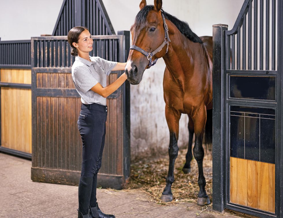 carrot exercises for horses, exercise therapy for horses, equine rehabilitation