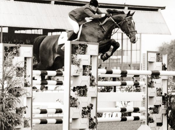 gail greenough show jumping, canadian equestrian team world cup show jumping, olympic show jumper