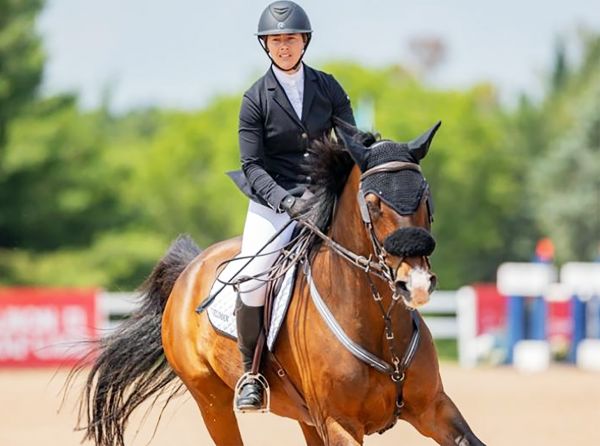 canadian horse professionals, how to ride horses for a living, how to be a professional horse reiner, how to professional show jumper, how to professional dressage rider