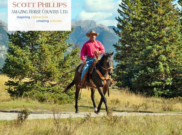 amazing horse country, scott phillips horsemanship, horse holidays canada, alberta trail riding, horse retreats alberta, horse retreats canada