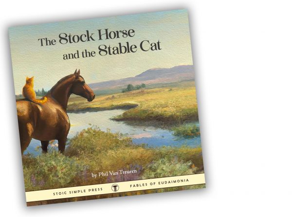 book review the stock horse and the stable cat, best horse books, great books about horses, fictional horse books