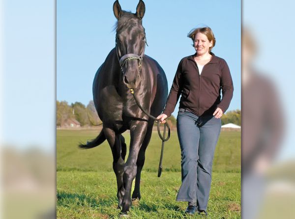 GROUNDWORK horses, exercises for horses, keeping a horse fit, jec ballou horse fitness, how to keep my horse healthy without riding, exercising a horse without riding