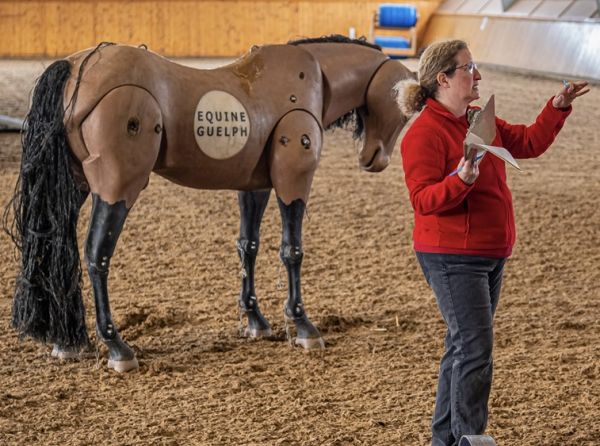 dr susan raymond, equine guelph equine research, horse commuity heroes, exceptionally horse people canada, large animal rescue courses ontario, canada horse rescue courses