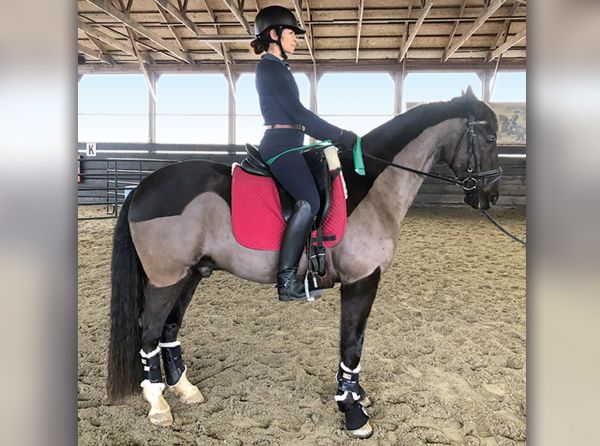 exercises for horse riders, pilates for hosre riders, how to be a better horse rider, fitness for horse riders, band exercises horse riders