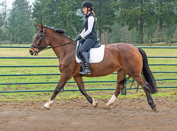 exercises for horse riders, dressage riding exercises, fitness for horse riders, equestrian fitness